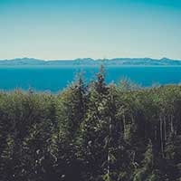 哪买不会翻车的在线短信轰炸软件