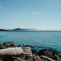 【多语言】全球化的短信测压网站