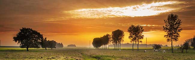 短信轰炸业务网